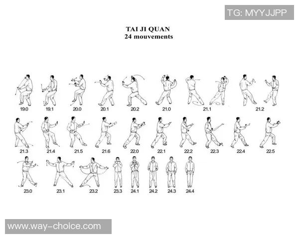 探索太极拳24式的精髓与内涵，感受传统武术的魅力与身心合一的智慧