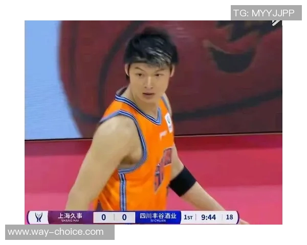 王哲林在CBA赛场的崛起与挑战解析未来发展潜力无限