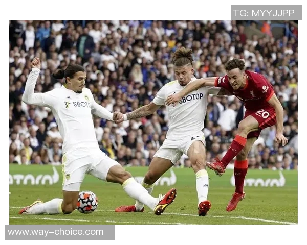 利物浦与利兹联精彩对决录播回顾分析与亮点总结