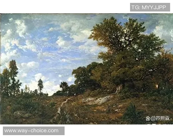 加莱诺的艺术之旅探索与启示:从传统到现代的跨越与融合 加莱诺的艺术之旅探索与启示:从传统到现代的跨越与融合