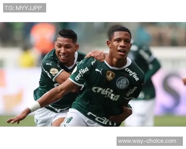 弗拉门戈与福塔雷激战正酣谁能在这场对决中笑到最后 弗拉门戈与福塔雷激战正酣谁能在这场对决中笑到最后