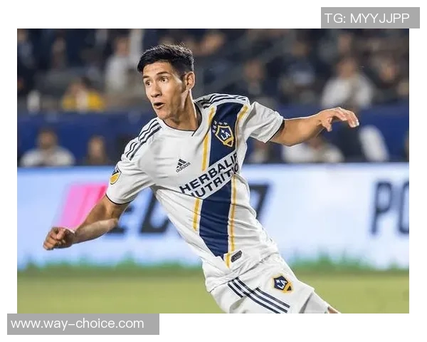 明尼苏达对阵达拉斯赛事分析及胜负推荐详解 明尼苏达对阵达拉斯赛事分析及胜负推荐详解